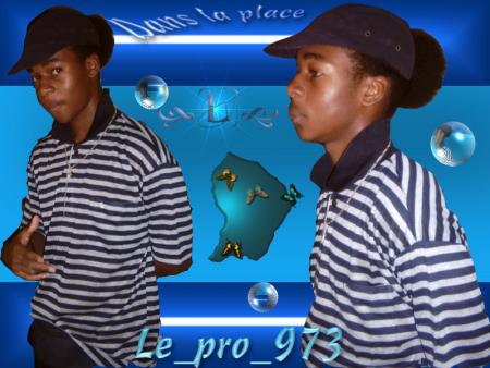 le pro